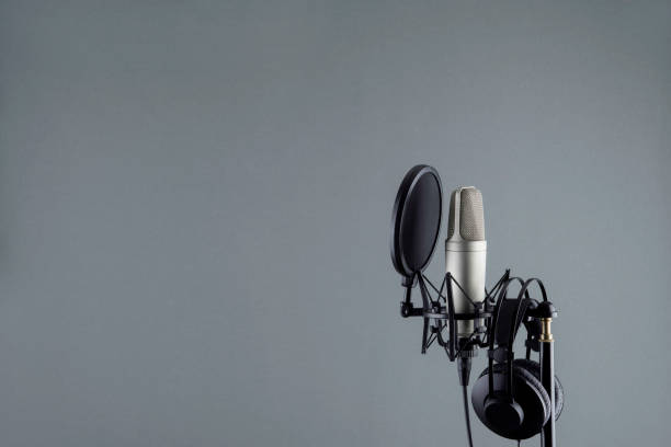 Podcast Mikrofon Seçimi Nasıl Yapılır? Nelere Dikkat Edilmeli?