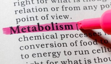 Metabolizmayı Hızlandırmanın 10 Yolu