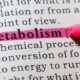Metabolizmayı Hızlandırmanın 10 Yolu